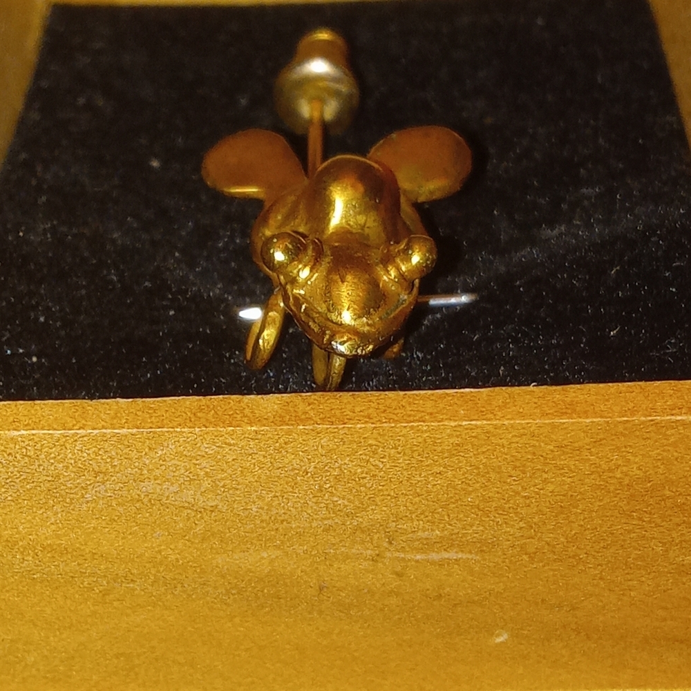 Frog Pin - Picture 12 of 14